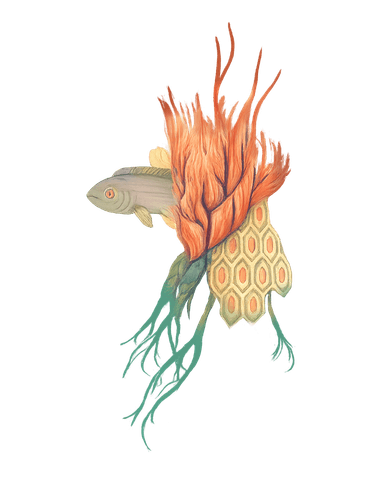 Pez ilustrado con plantas